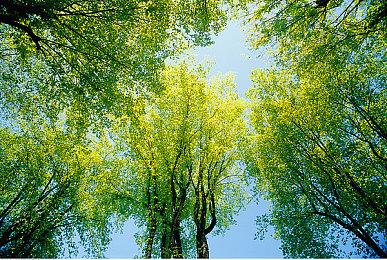 《龙珠Z 卡卡罗特》DLC分为两部分发售 第二部分2026年推出